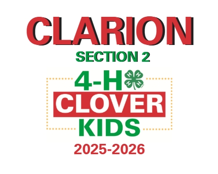 Group avatar for Clarion Clover Kids: Section 2