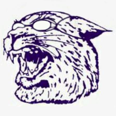 Group avatar for Kansas State Swim Club (26-27)