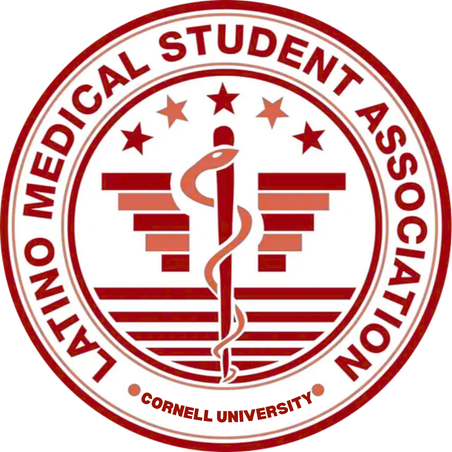 Group avatar for LMSA+ At Cornell