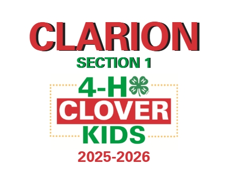Group avatar for Clarion Clover Kids: Section 1