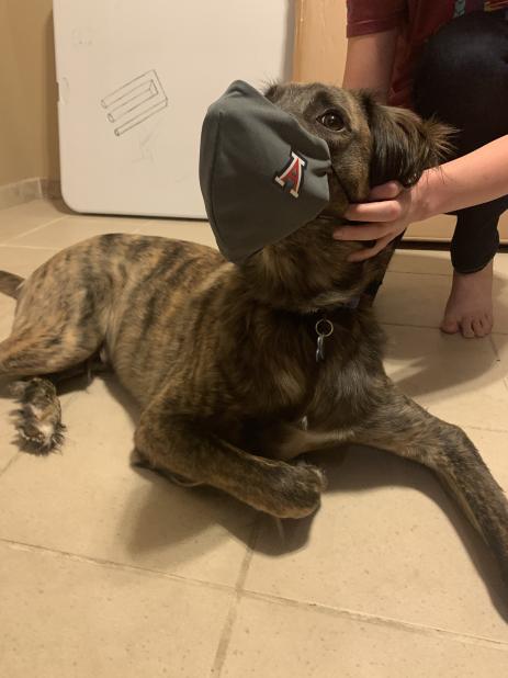 Group avatar for maskeraid