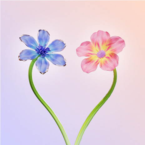 Group avatar for C2F6 girls