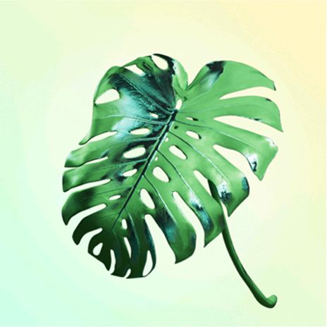Group avatar for Environmental Justice Collective