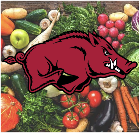 Group avatar for SDA🥑