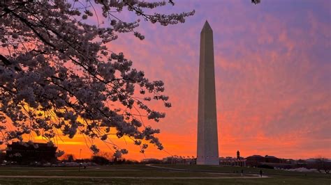 Group avatar for 2025 D.C. Fly-In