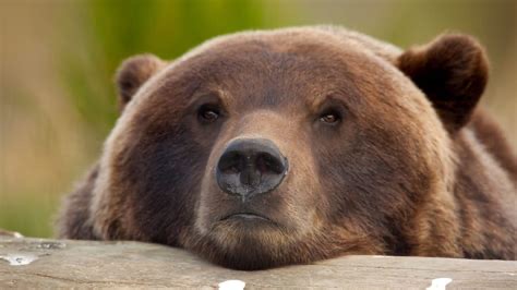 Group avatar for Orgo 2 Summer C 2020 w/Portmess