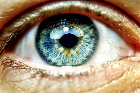 Group avatar for DO - Ophthalmology