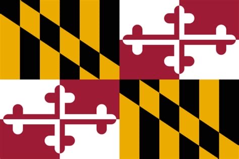 Group avatar for New AYA Maryland