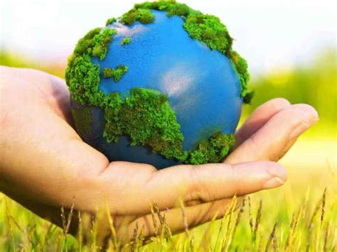 Group avatar for Volunteer UCF Environment