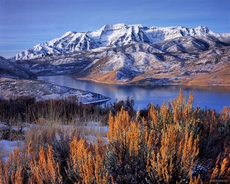 Group avatar for UFA Wasatch Back