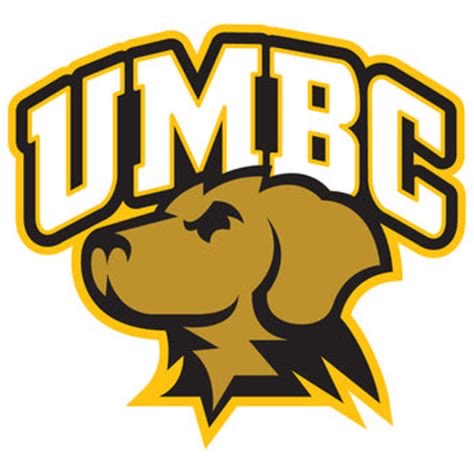 Group avatar for UMBC Accounting Club