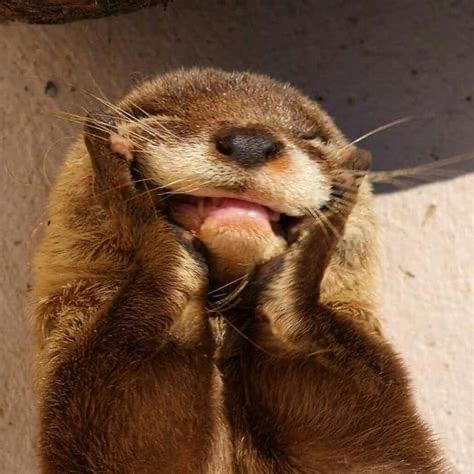 Group avatar for 7Sage Science Free Articles study group