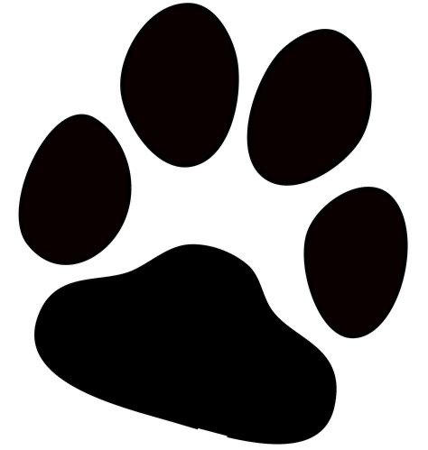 Group avatar for paws 🐾🐾