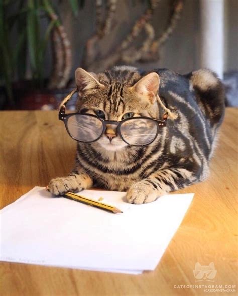 Group avatar for LSAT Study Buddies