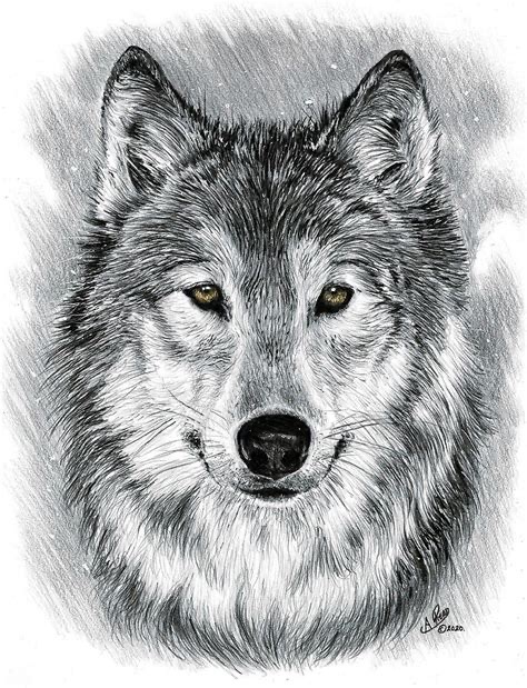 Group avatar for Fall 2025 Gray Wolves