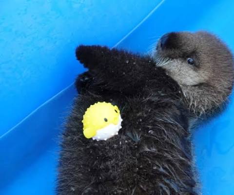 Group avatar for PHYS 1303 Study Group