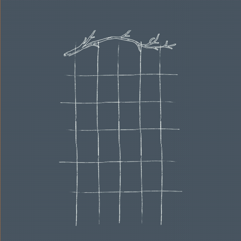 Group avatar for RUF @ UVA