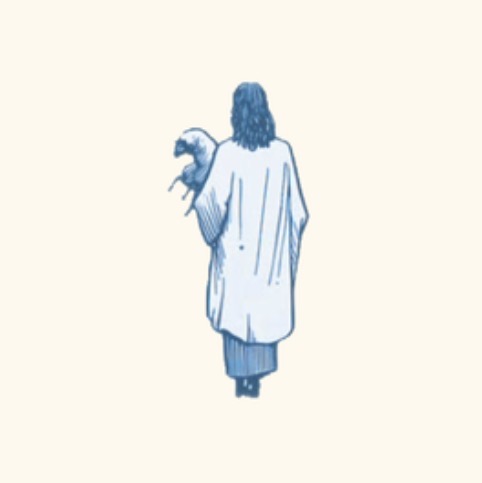 Group avatar for Shepherds 2026-27