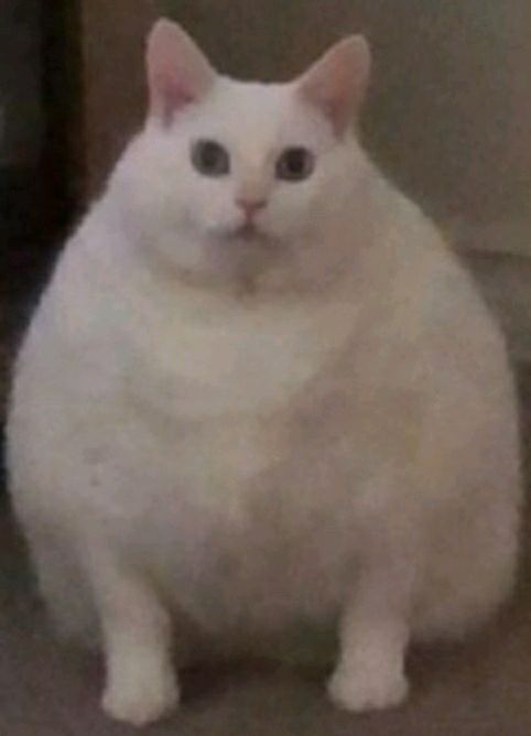 Group avatar for Philosophy Club (2021-2022)