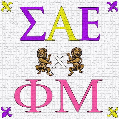 Group avatar for ΦΜ x ΣΑΕ let’s goooo