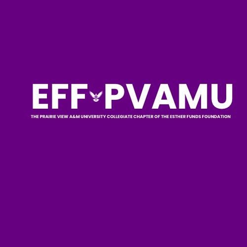 Group avatar for Esther Funds PVAMU 💜🤍