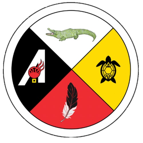Group avatar for Gator AISES