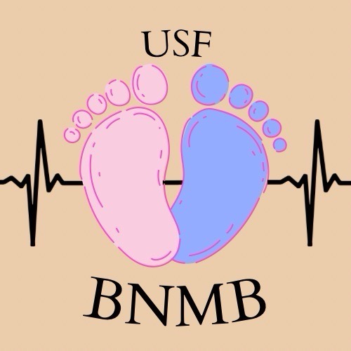 Group avatar for Bull Nurses for Moms and Babies 2025-2026