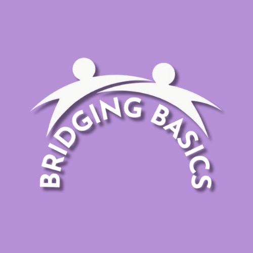 Group avatar for Bridging Basics