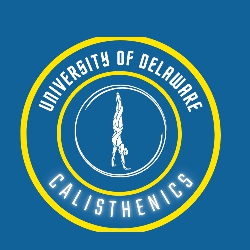 Group avatar for UD Calisthenics