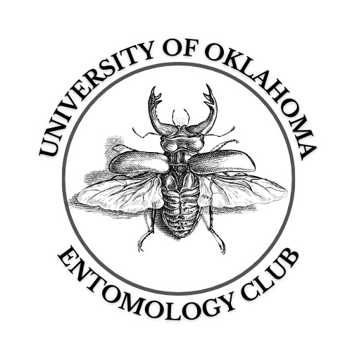 Group avatar for Entomology Club 🕷️🦟🪲