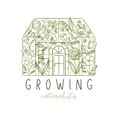 Group avatar for GN Summer Nature Journaling Workshops