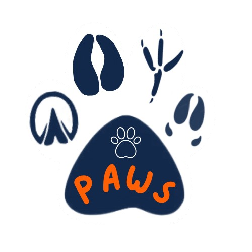 Group avatar for PAWS at UIUC