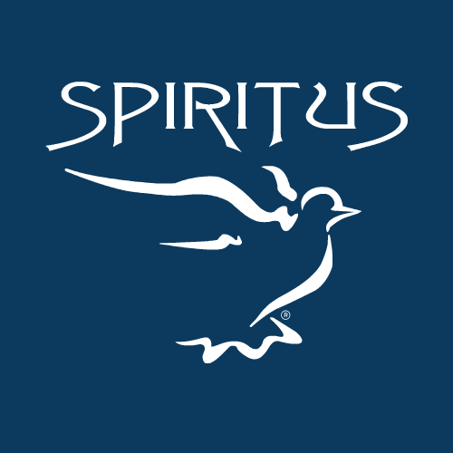 Group avatar for SPIRITUS Team 18