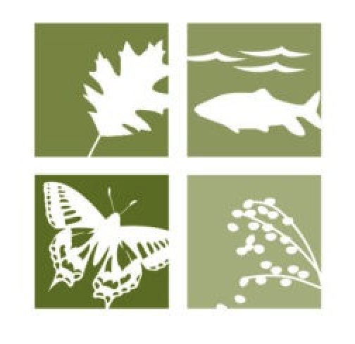 Group avatar for OSUMP