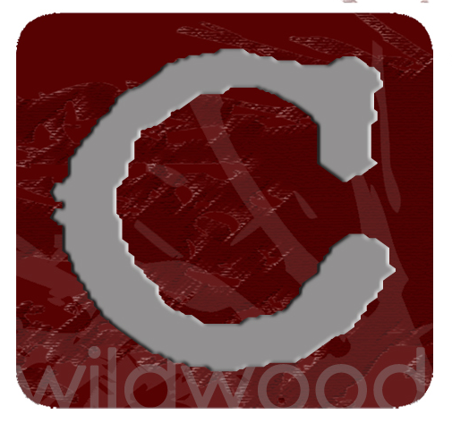 Group avatar for Wildwood College Ministry