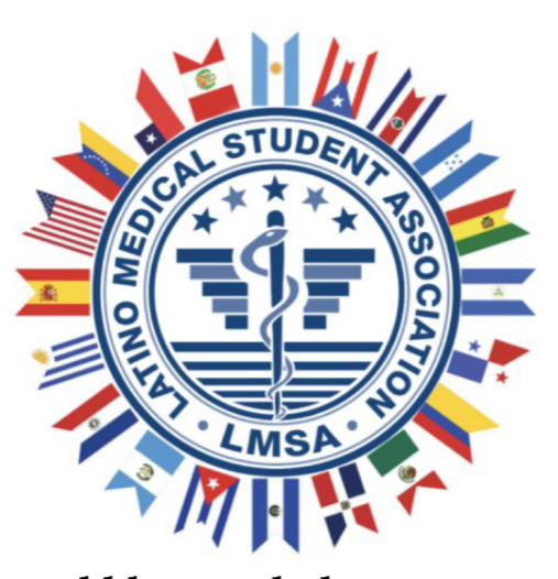 Group avatar for SLU LMSA+