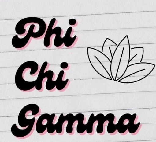 Group avatar for PhiGam Potentials