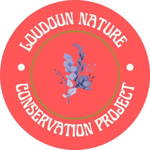 Group avatar for LNCP (nvcc branch)