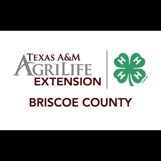 Group avatar for Briscoe 4-H