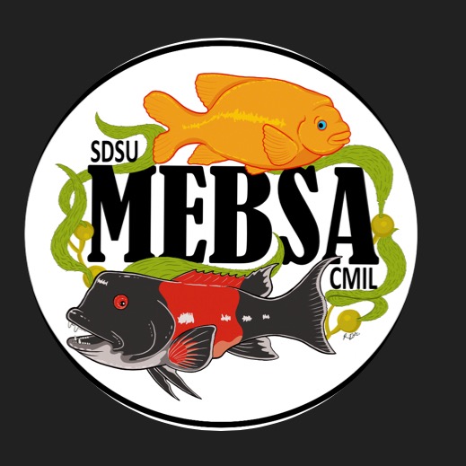 Group avatar for MEBSA
