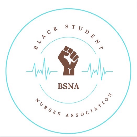 Group avatar for BSNA