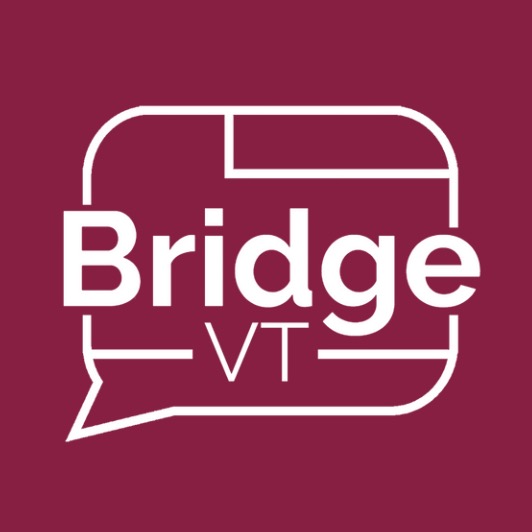 Group avatar for BridgeUSA at VT