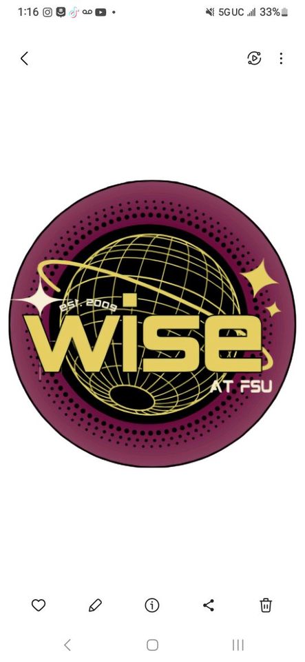 Group avatar for WISE 2025-2026