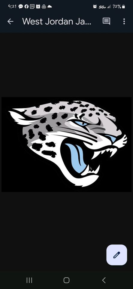 Group avatar for WJ DISTRICT YOUTH FOOTBALL ANNOUNCEMENTS