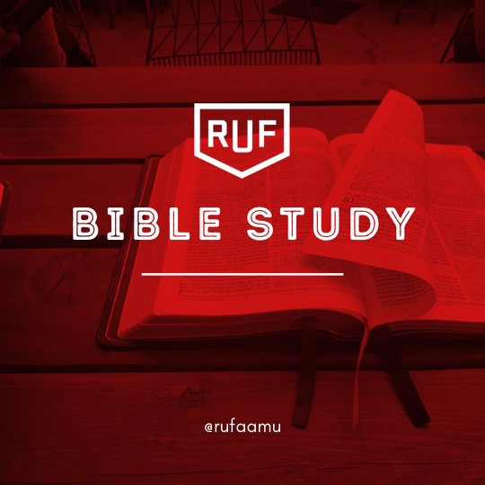 Group avatar for RUF AAMU