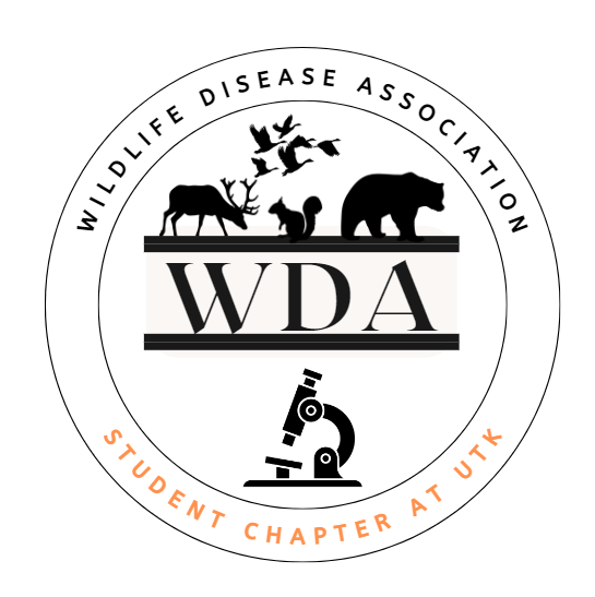 Group avatar for @utkwda