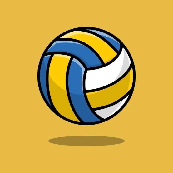 Group avatar for MS Volleyball