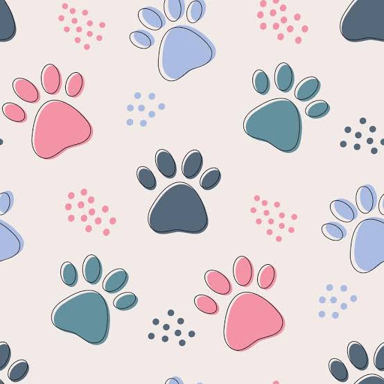 Group avatar for PAWS Elmhurst🐾