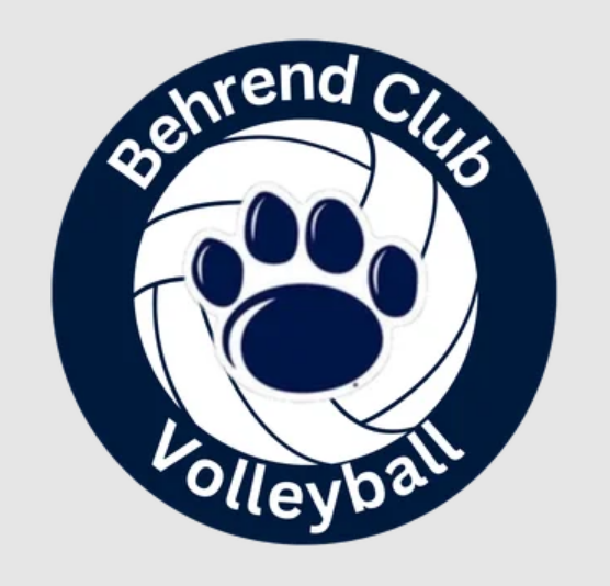 Group avatar for Behrend Club Volleyball Pickup