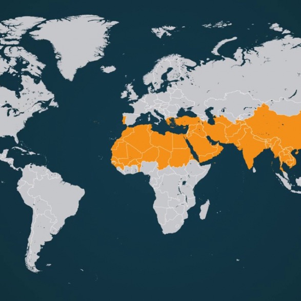 Group avatar for MAP